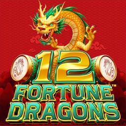 12 Fortune Dragons