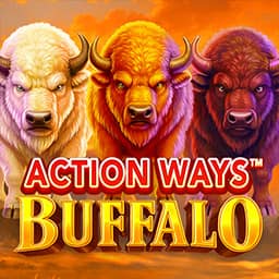 Action Ways Buffalo
