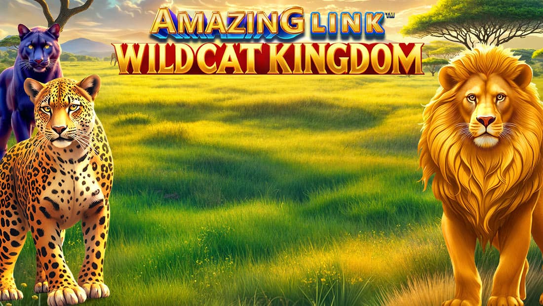 Amazing Link Wildcat Kingdom