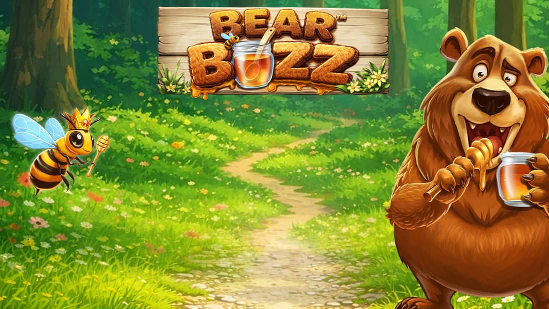 Bear Buzz
