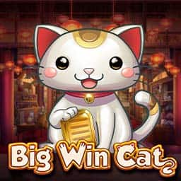 Big Win Cat