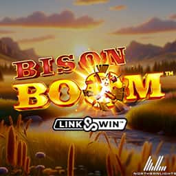 Bison Boom