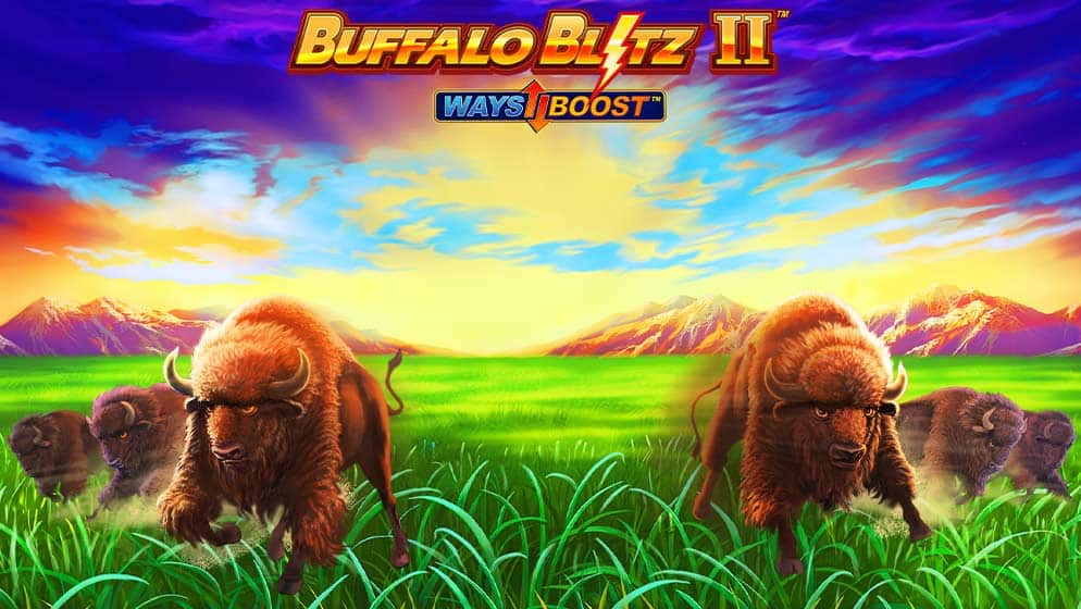 Buffalo Blitz 2