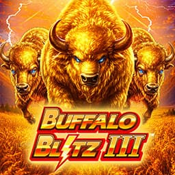 Buffalo Blitz III