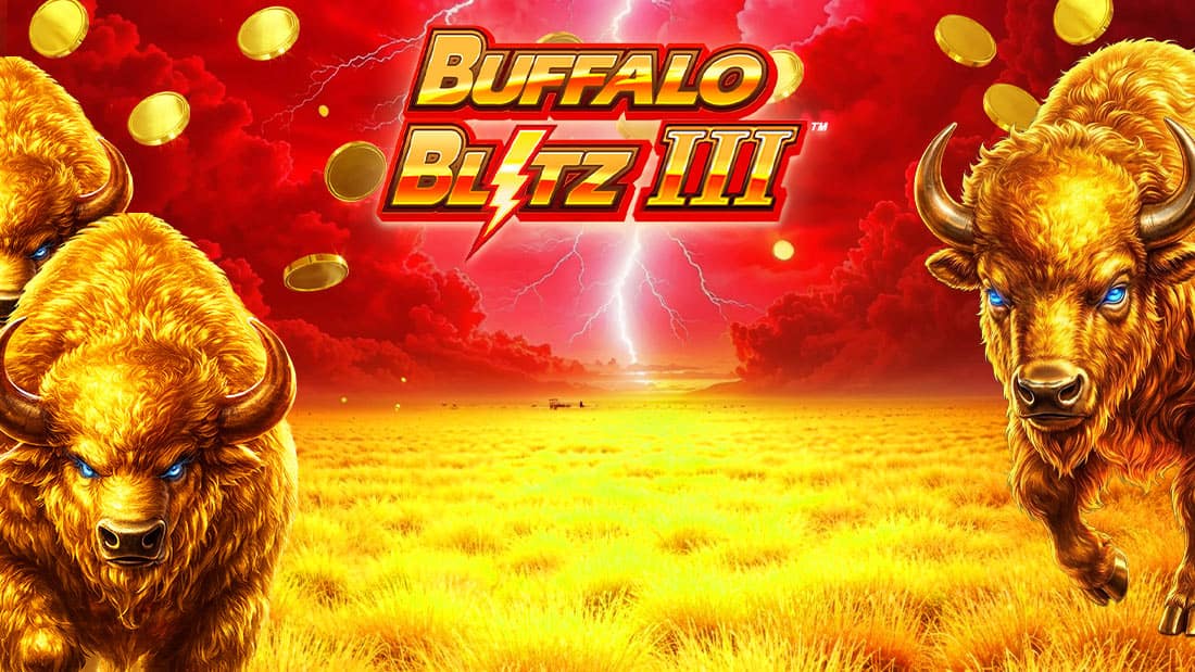 Buffalo Blitz III