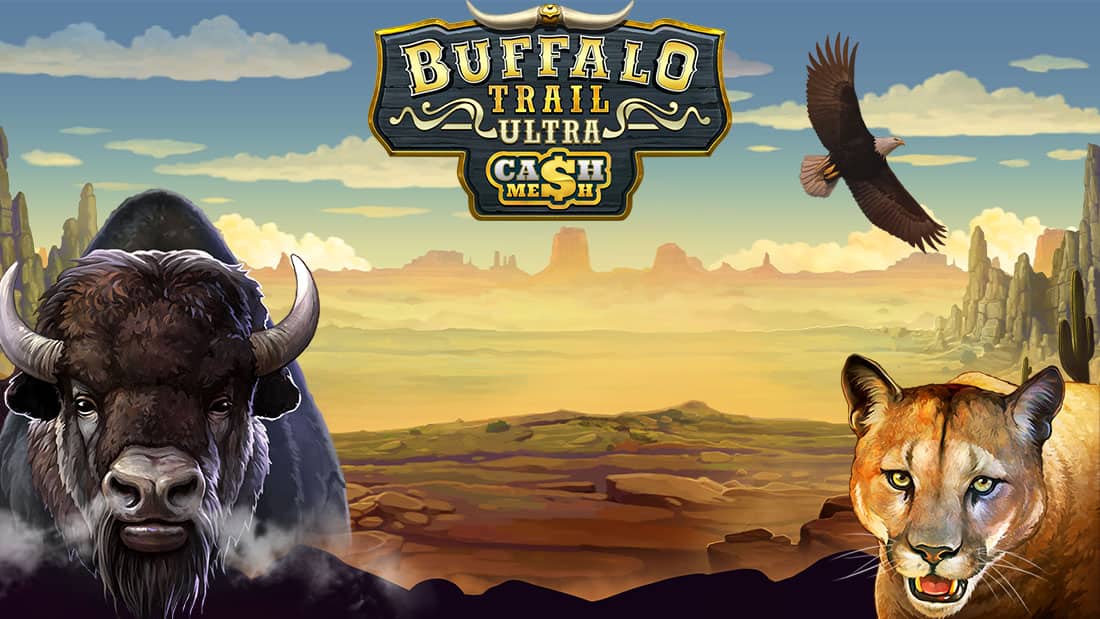 Buffalo Trail Ultra
