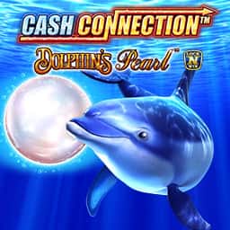 Cash Connection - Dolphin's Pearl