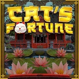 Cat's Fortune