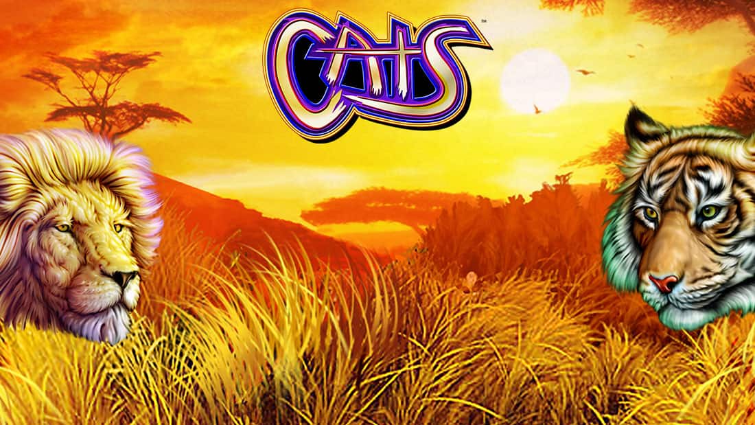 Cats
