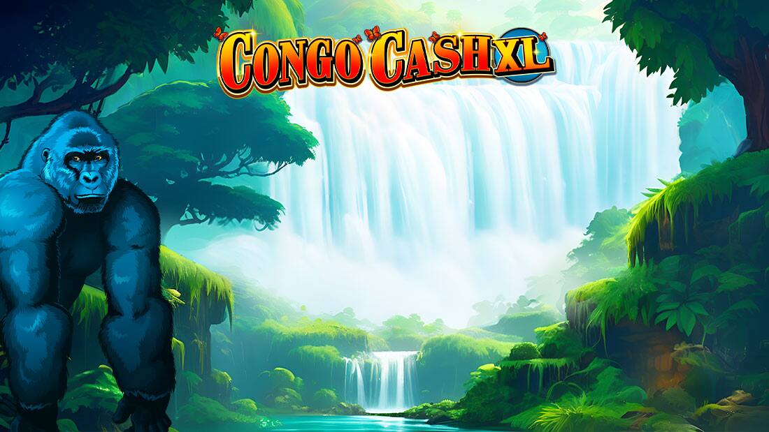 Congo Cash XL