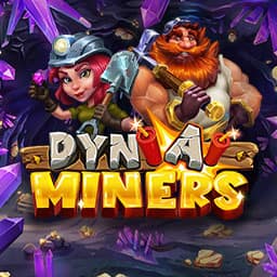 Dyn a Miners