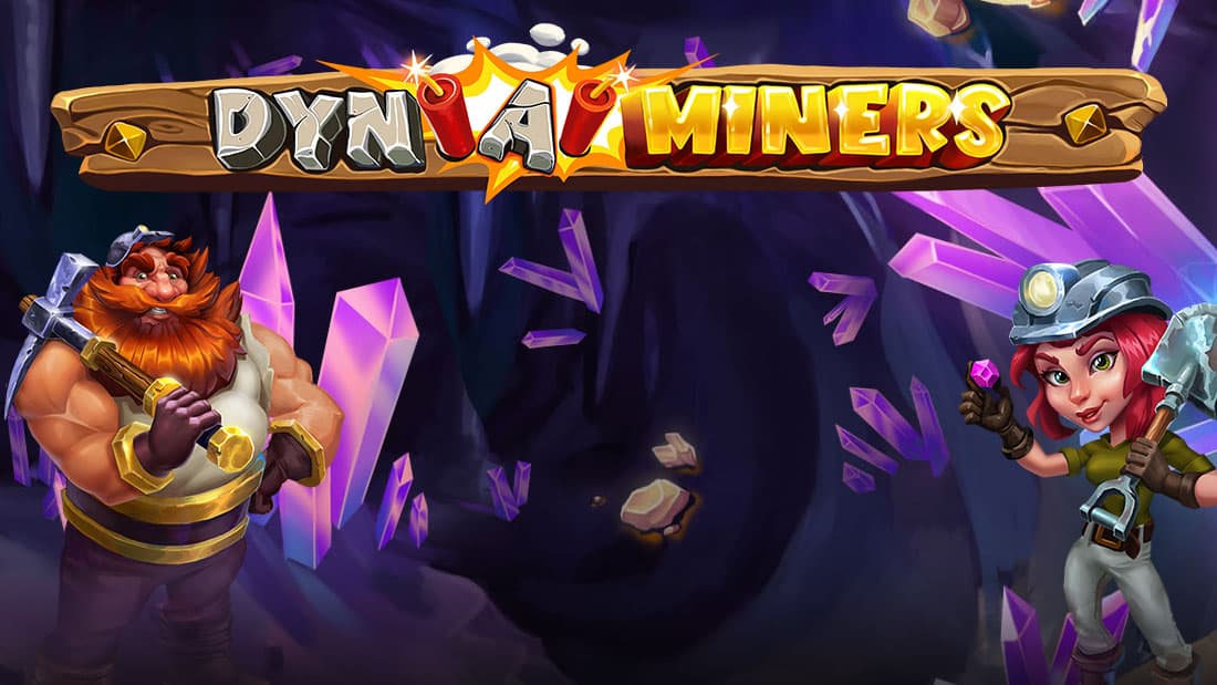 Dyn a Miners