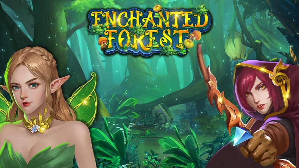 Enchanted Forest