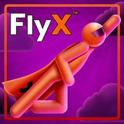 FlyX