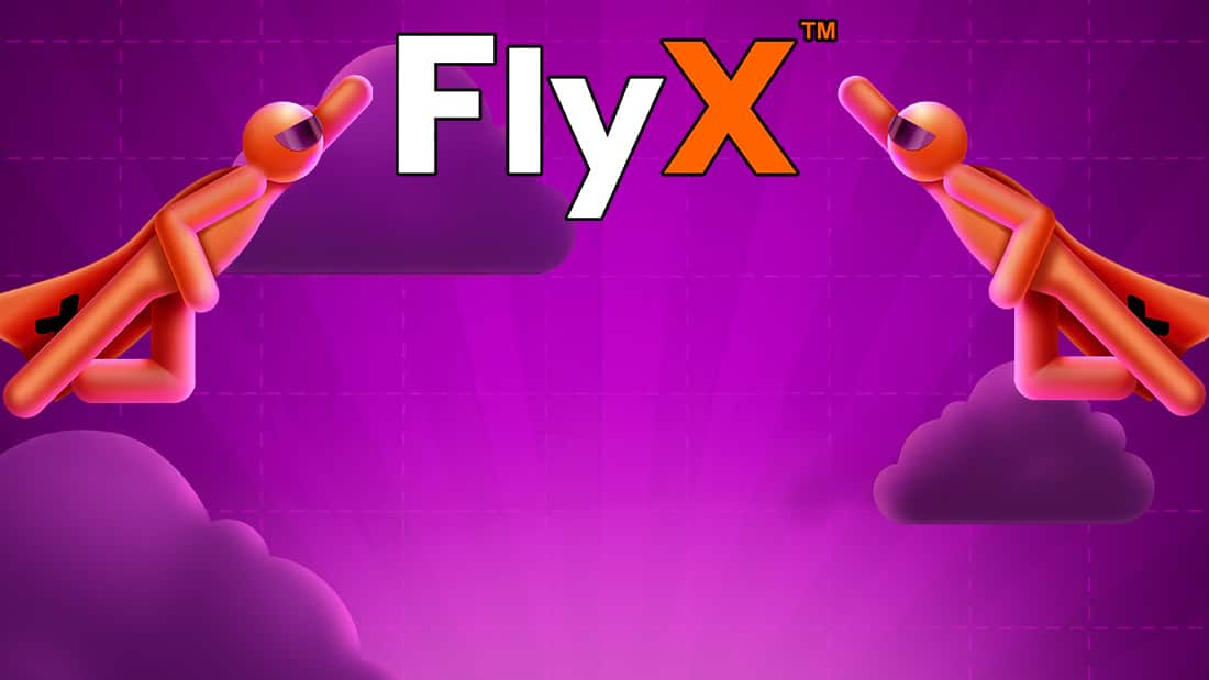 FlyX