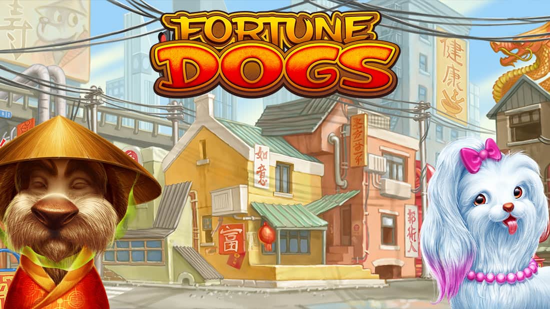 Fortune Dogs