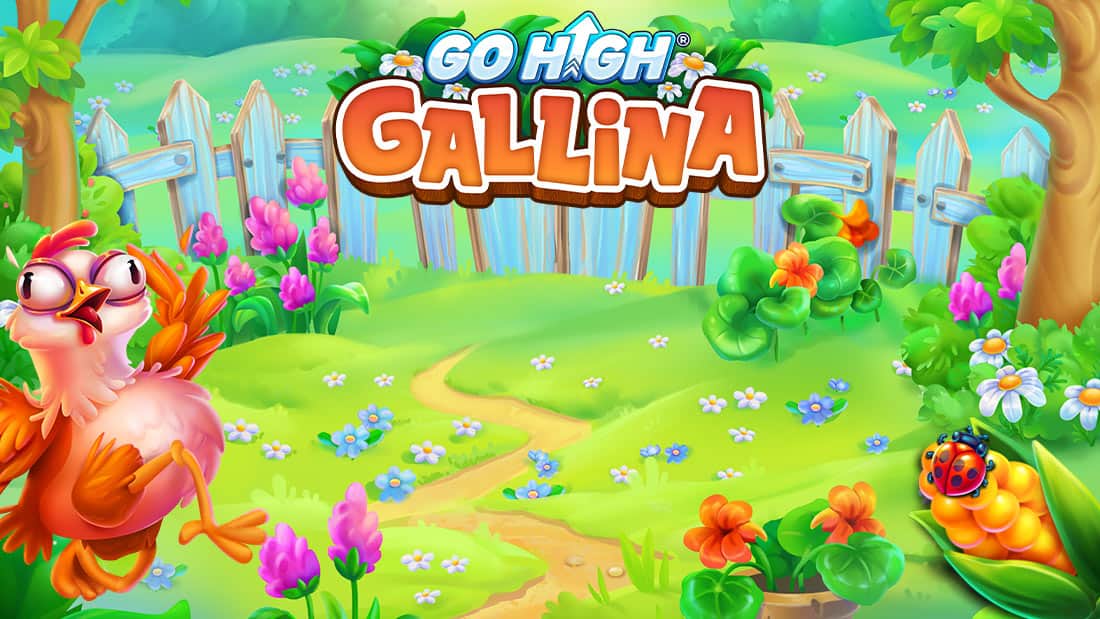 Go High Gallina Slot Online | 500 Free Spin | AdmiralBet