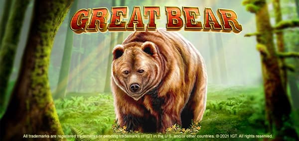 Great Bear