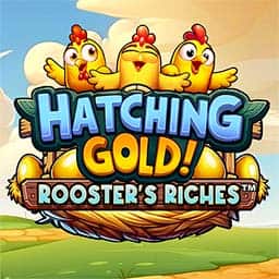 Hatching Gold Roosters Riches