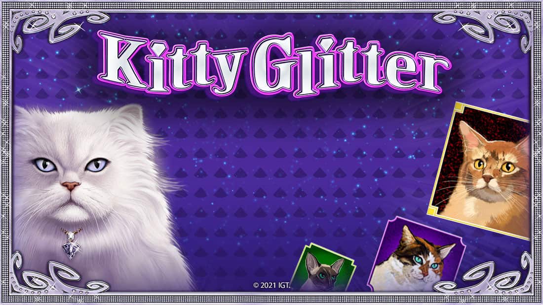 Kitty Glitter