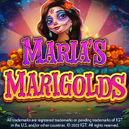 Maria's Marigolds