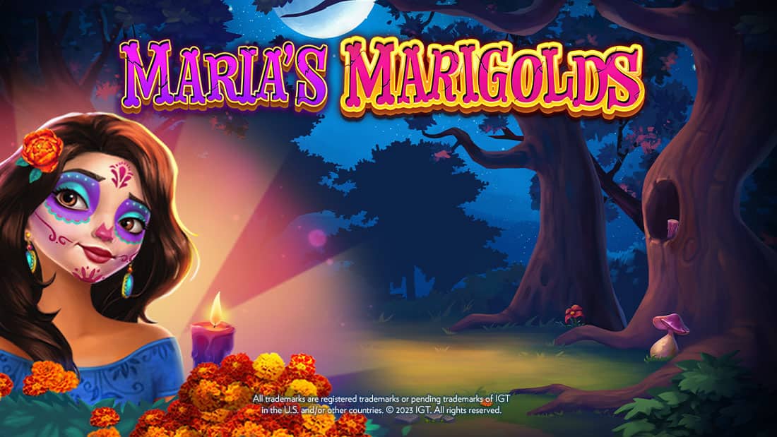 Maria's Marigolds