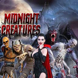 Midnight Creatures