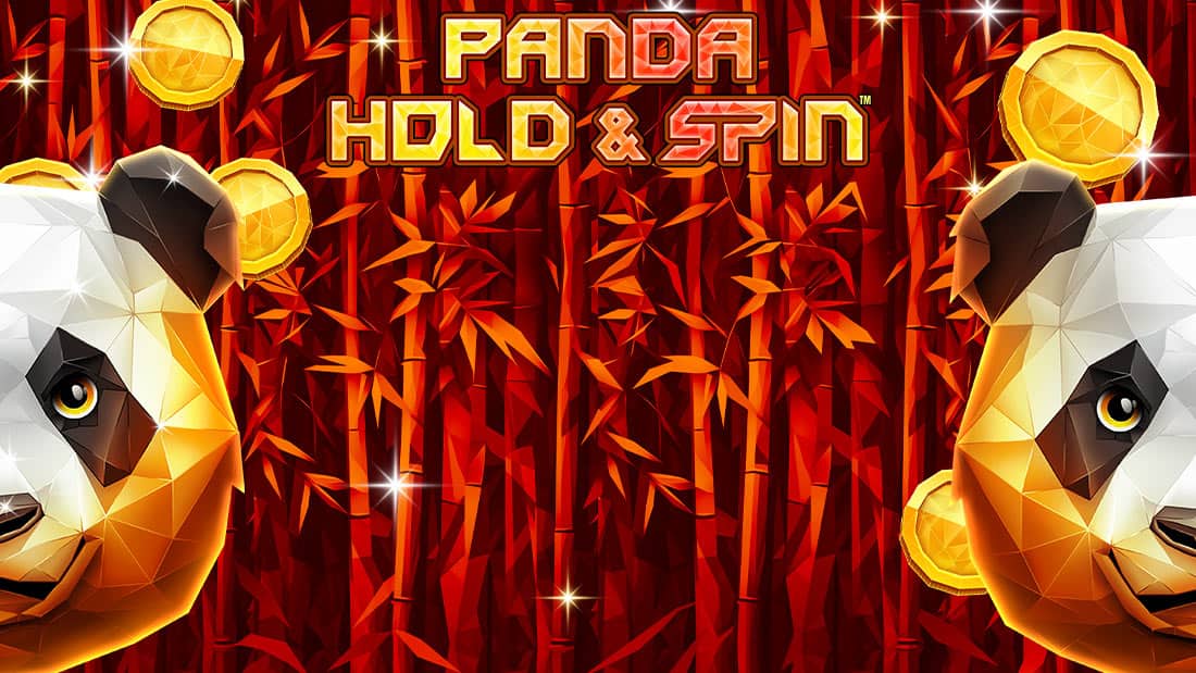 Panda Hold And Spin