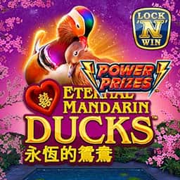 Power Prizes Eternal Mandarin Ducks