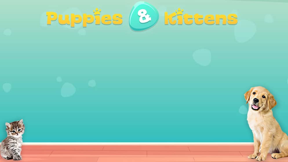Puppies & Kittens