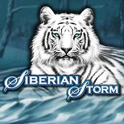 Siberian Storm