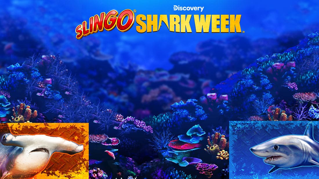 Slingo Shark Week 700