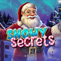 Snowy Secrets