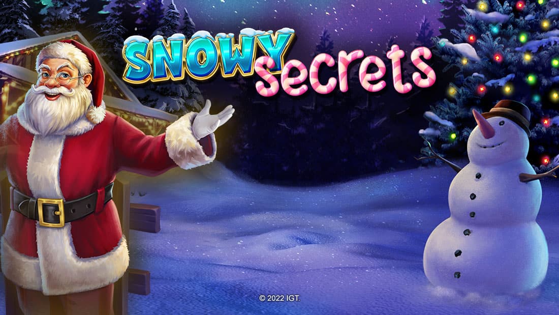 Snowy Secrets