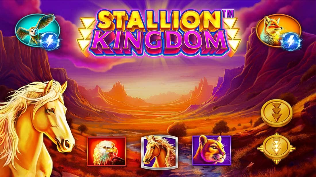 Stallion Kingdom
