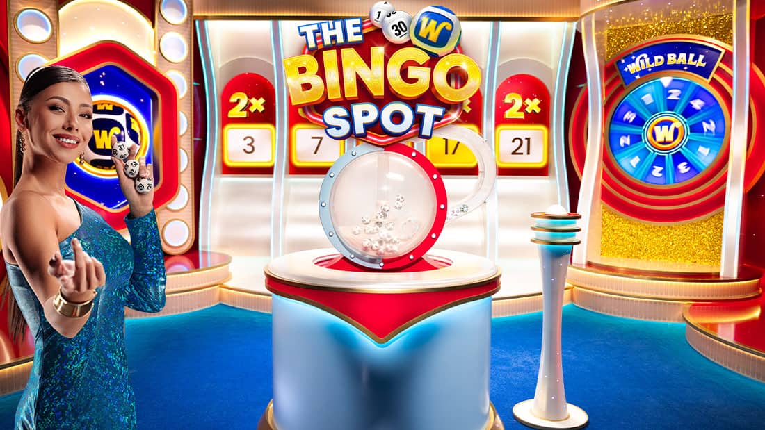 The Bingo Spot
