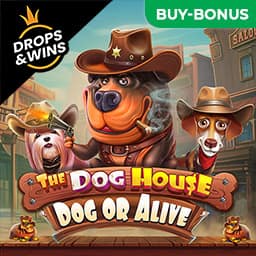 The Dog House - Dog or Alive