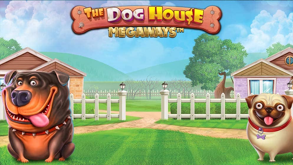 The Dog House Megaways Slot Online | 500 Free Spin | AdmiralBet