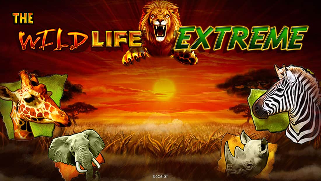 The Wild Life Extreme