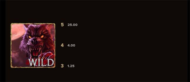 gioco slot machine online The Wolf's Night bonus giri gratis