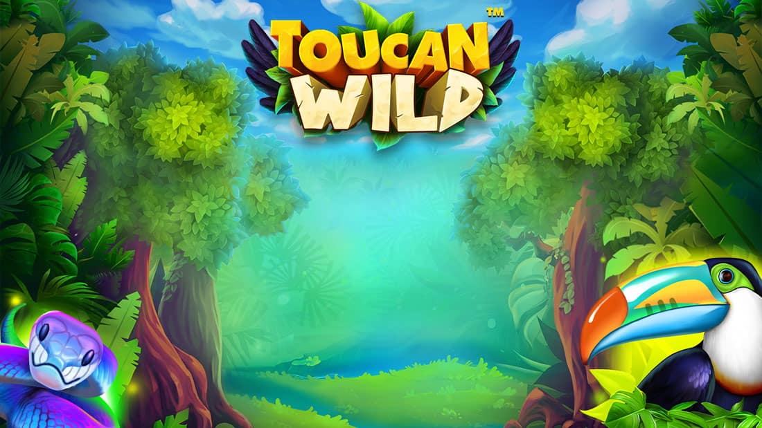 Toucan Wild