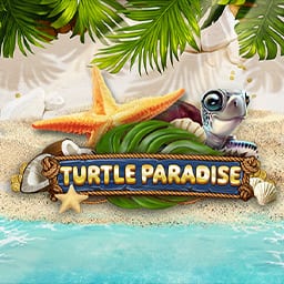 Turtle Paradise