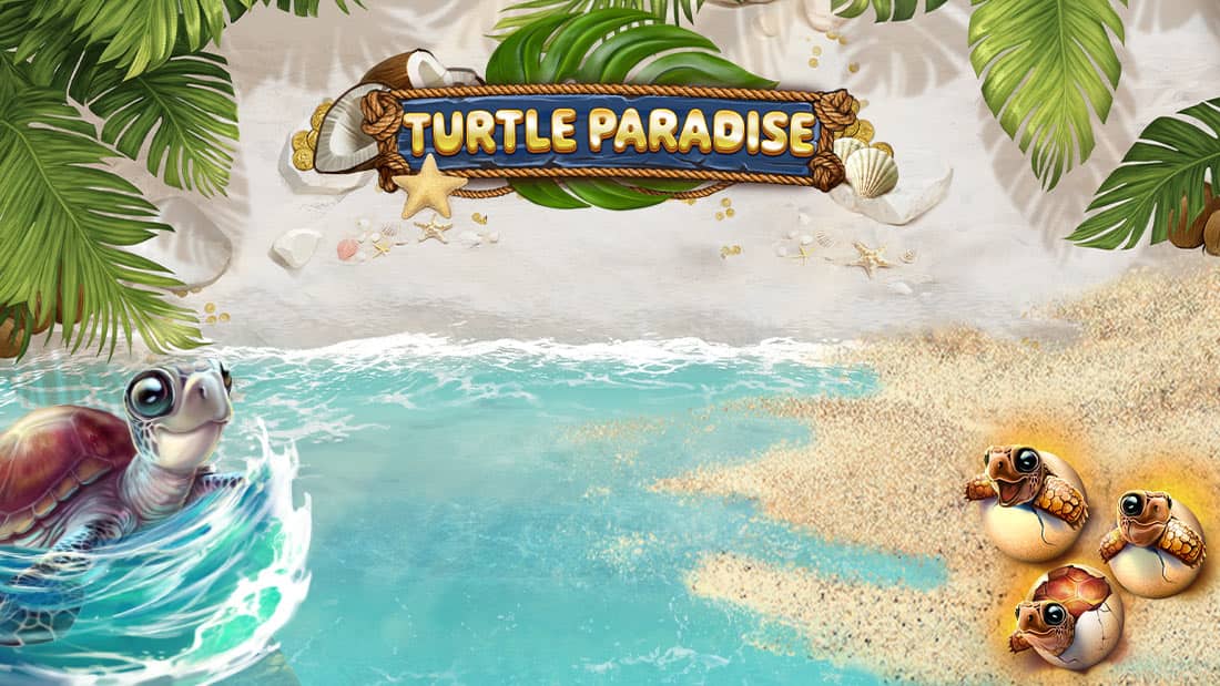 Turtle Paradise