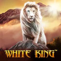 White King