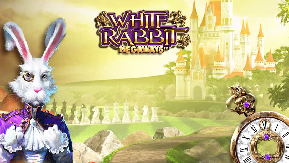 White Rabbit
