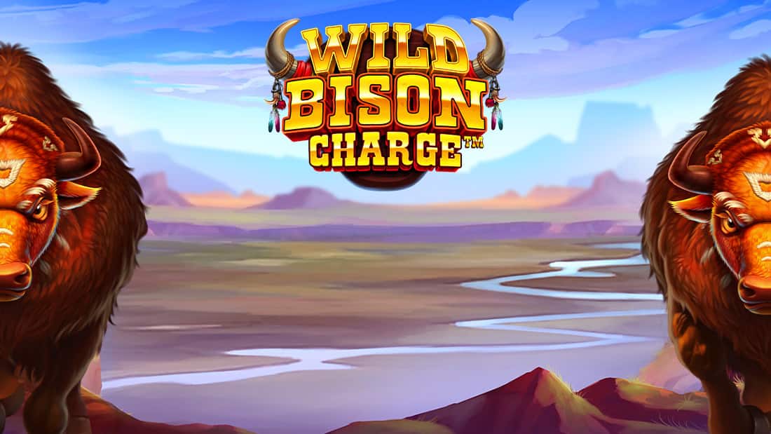 Wild Bison Charge