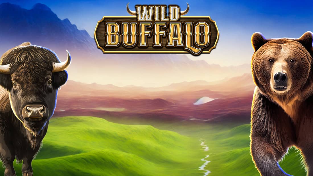 Wild Buffalo