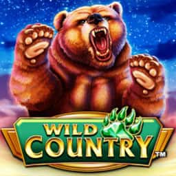Wild Country