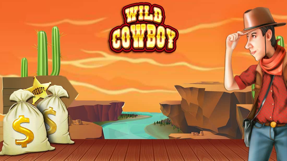 Wild Cowboy