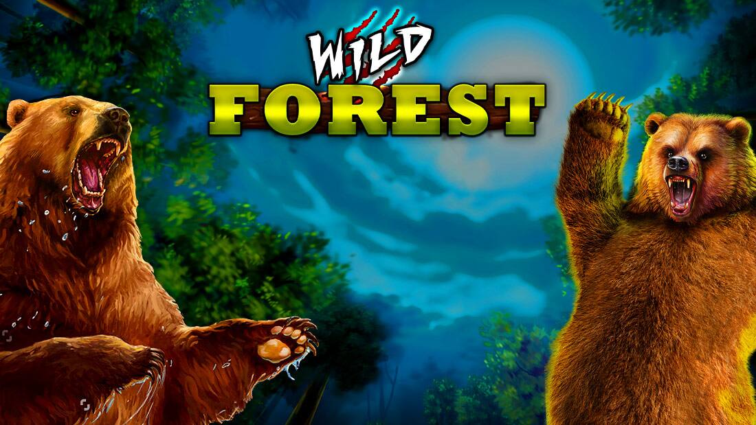Wild Forest
